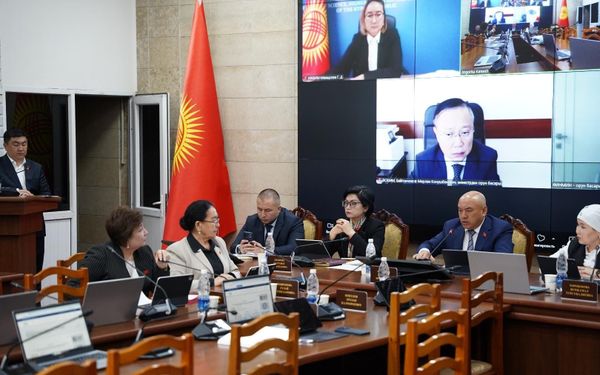 ЖК комитети "Баатыр энелердин" балдарына жеңилдик берүү долбоорун жактырды