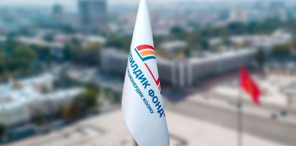 Жыл башынан бери ишкерлерге 1 млрд сомдон ашык кепилдик берилди