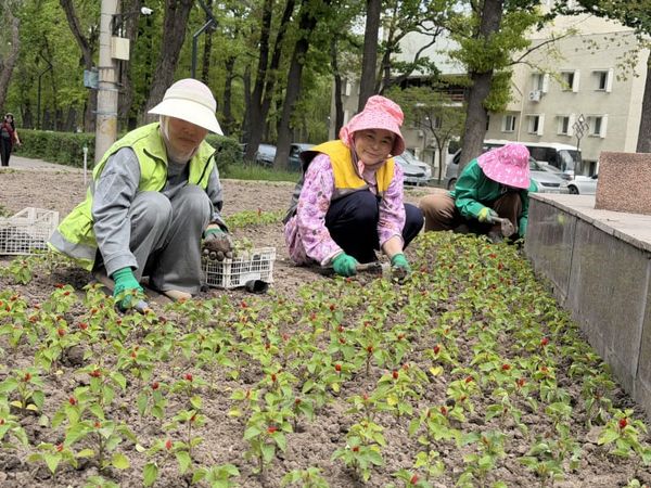 Бишкек 2 миллион гүл менен кооздолот