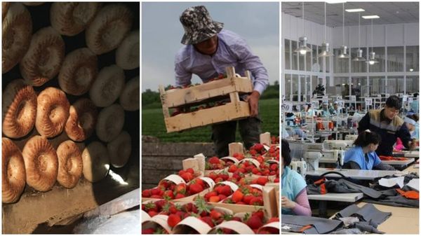 Чакан жана орто бизнестин ИДПдагы үлүшү 51%га чейин өстү