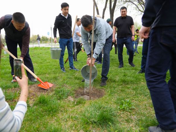 Мэрдин катышуусунда Бишкекте 740 дарак отургузулду