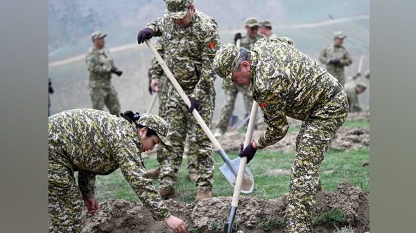 МинКаб Боз-Бөлтөк тоосуна бадам, жаңгак, өрүк отургузду