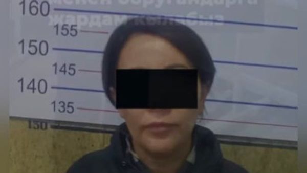 Болжол менен 20 млн сом алдамчылык кылган аял кармалды