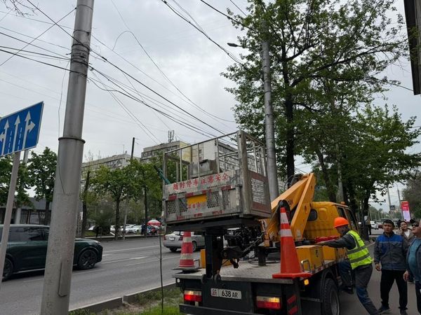 Бишкекте абадагы интернет-кабелдерди демонтаждоо башталды