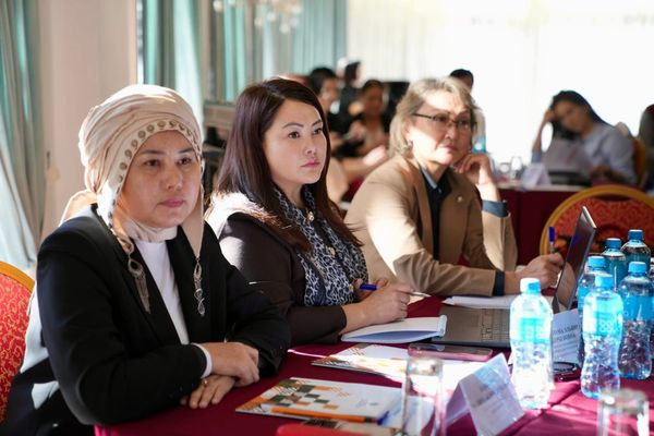 "Кыргызстандын 100 санарип аял-лидери" программасы башталды