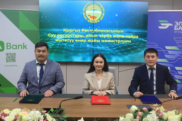 Кыргызстанда жеңилдетилген насыя алуу үчүн электрондук кезек системасы ишке кирди