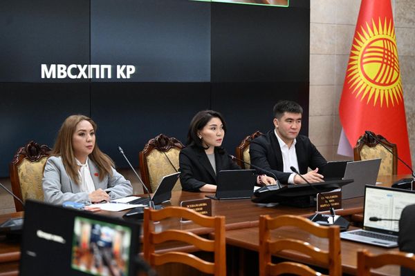 ЖК комитети тышкы саясат жана миграция боюнча мыйзам долбоорлорун жактырды