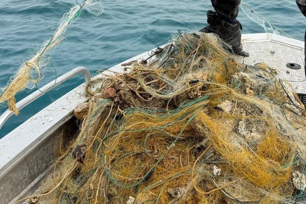 Мамлекеттик салык кызматы мыйзамсыз балык уулоочу торлорду алып кирүүгө тыюу салды