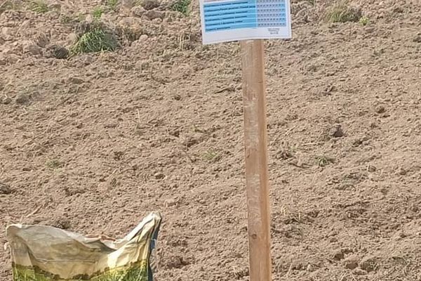 Кара-Кулжада 3000 тонна силос өндүрүү пландалууда