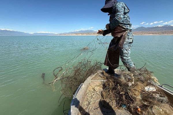 Токтогул суу сактагычынан 12 000 метр тор табылды