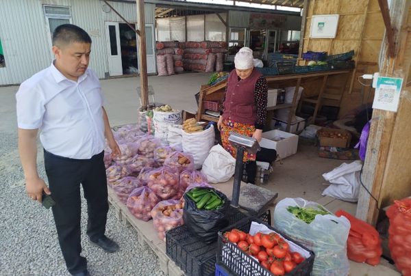 Ошто баалар көзөмөлдө: күн сайын мониторинг жүргүзүлүүдө