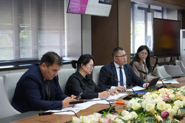 Өндүрүш жанданып жатат: Быйыл кайсы ишканалар ачылат?