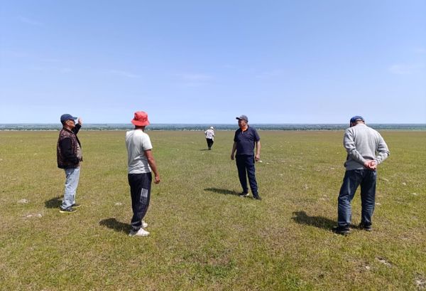 Чүйдө 1 250 гектардан зыянкеч чегиртке аныкталып, чара көрүлө баштады