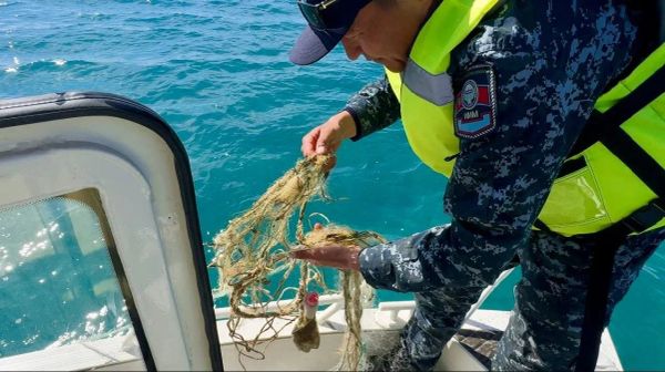 Быйылкы жылдын 3 айында Ысык-Көлдөн 16 900 метр тор алынды