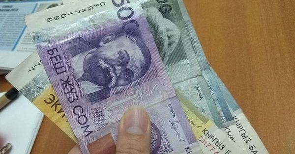 Дене тарбия жана спорт тармагындагы кызматкерлердин маянасы көтөрүлдү