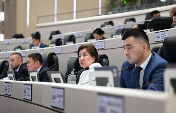 Мамлекеттик мүлктү менчиктештирүү тууралуу мыйзамга өзгөртүүлөр 1-окууда кабыл алынды