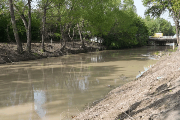 Чоң Чүй каналынын жээгине сейил бак курулат