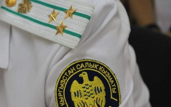 Салык кызматы "Ак-Жол" өткөрмө пунктунда мыйзамсыз жүктөрдү аныктады