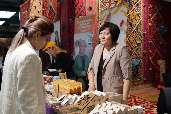 Былтыр жеке ишкерлер Соцфондго 2,2 млрд сомдон ашык төлөм төлөштү