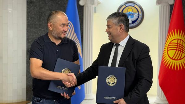 Кыргызстанда ири канаттуулар долбооруна 1,7 млрд сом инвестиция салынат