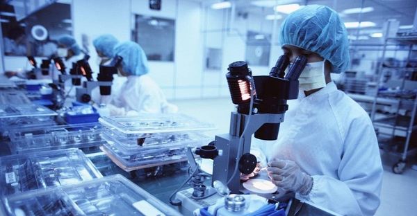 Ветеринарларга базарларда экспертиза жүргүзүү укугу кайтарылды