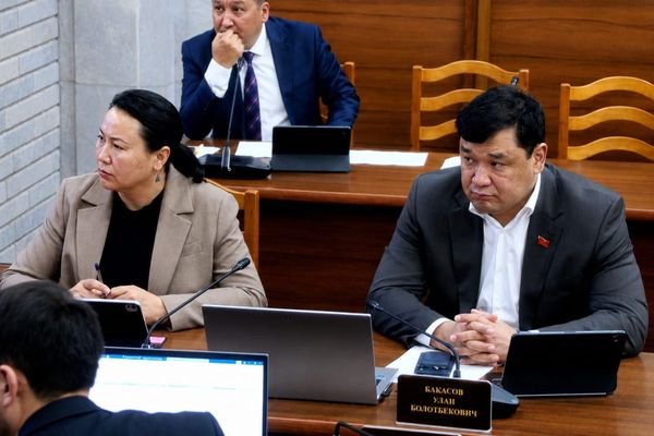 Кыргызстан менен Япониянын ортосундагы кош салык салуу жоюлат
