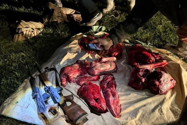 Нарында текени мыйзамсыз аткан жаранга айып пул салынды