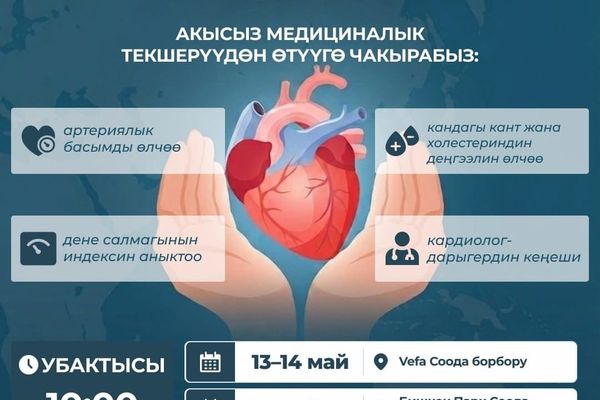Бишкекте жүрөк кан-тамыр оорулары боюнча акысыз текшерүү өтөт