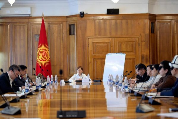 Органикалык аймактарды түзгөн кооперативдерге күрөөсүз насыя берүү сунушталды