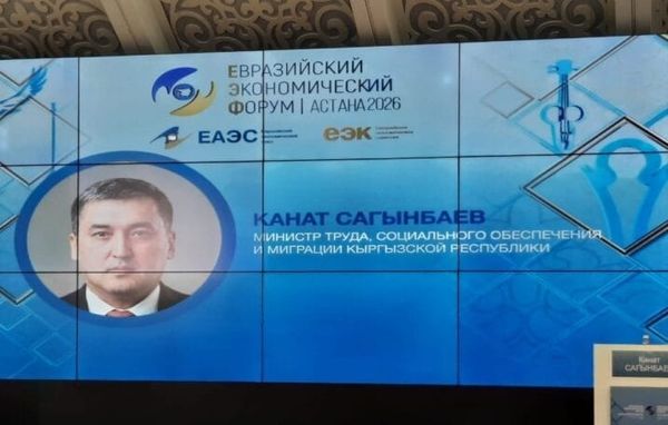 Канат Сагынбаев ЕАЭБде кызматкерлердин санариптик профилин өнүктүрүүнү сунуштады