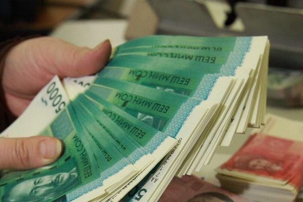 Насыя алгандардын саны 12,4%га көбөйдү
