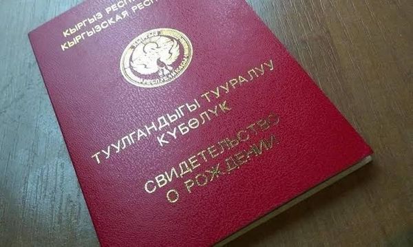 Балага кош фамилия ыйгаруу демилгеси коомдук талкууга чыкты