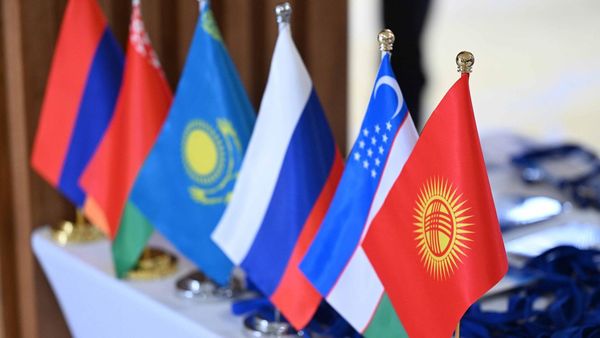 Сүт азыктарынын коопсуздугу боюнча долбоор коомдук талкууга чыкты