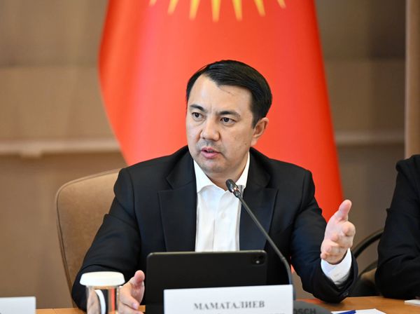 Марлен Маматалиев айлыгы 54 миң сом экенин билдирди