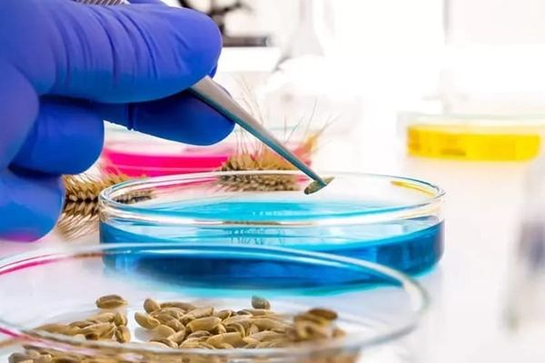 Фитосанитардык жана токсикологиялык лабораторияларды куруу маселеси талкууланды