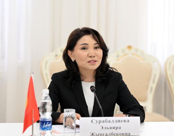 Жогорку Кеңеште Нидерландия менен кызматташтык маселелери талкууланды