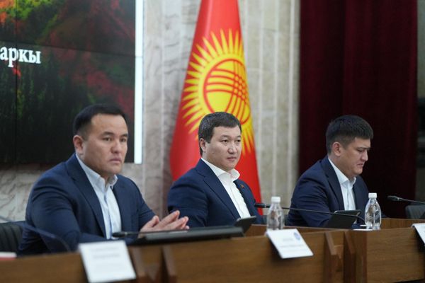 Комитетте геопарктарды түзүү боюнча мыйзам долбоору колдоо тапты