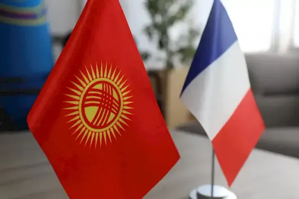 Эмгек министрлигинде Франциянын өкүлү менен жолугушуу өттү