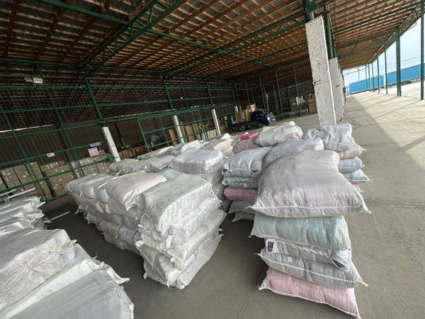 Бажы кызматы 2,1 млн сомдук төлөмдү жашыруу аракетине бөгөт койду