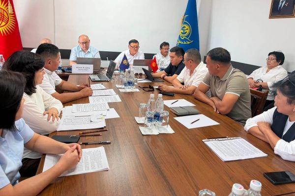 Аламүдүн районунда 57,6 млн сомдук каржылык мыйзам бузуу аныкталды