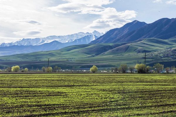 Жайыттарды жакшыртууга 250 миң долларга жакын каражат бөлүнөт