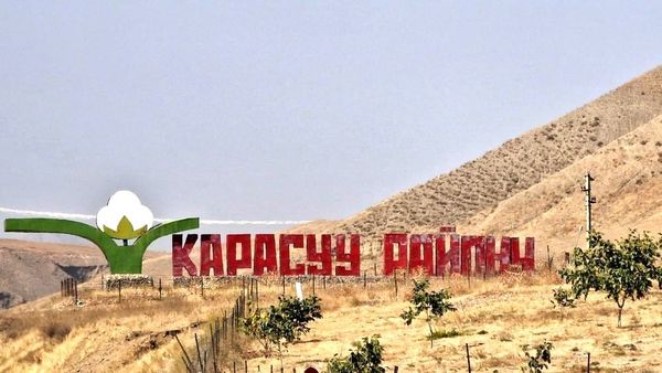 Кара-Сууда жайыт жерге мыйзамсыз курулуш кургандарга айып салынды