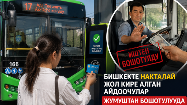 Накталай жол кире акысын алган айдоочулар иштен кетти. Мэриянын жаңы эрежеси мыйзамга шайкеш келеби?