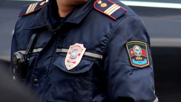 Эл аралык издөөдө 12 жылдан бери жүргөн оор кылмышка шектүү кармалды