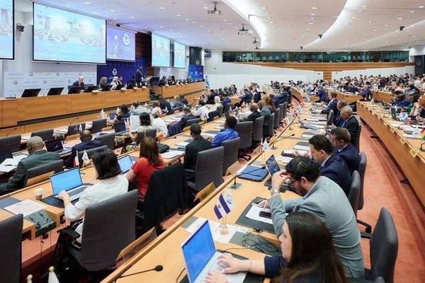Электрондук сооданы өнүктүрүү Бүткүл дүйнөлүк бажы уюмунда талкууланды