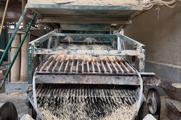 Кыргызстанда ширеңке чыгарган ишкана ачуу пландалууда