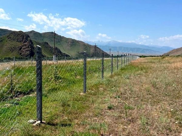 Таластын Арал айылында көчөттөр отургузулду