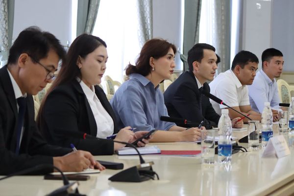 Кыргызстанга күн энергетикасы боюнча ири инвестиция тартуу пландалууда