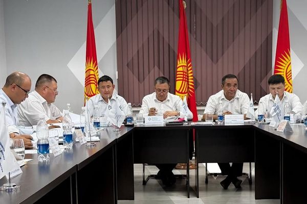 Ишкердикти өнүктүрүү фонду микрофинансылык компанияга айланат