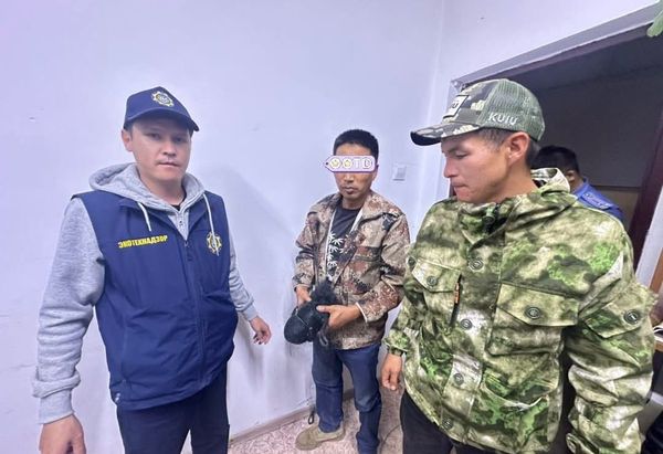 Канаттууларды тор менен кармаган чет элдик жаранга 20 миң сом айып салынды